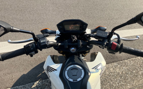 HONDA GROM JC75