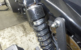 HARLEY XL883N 2010