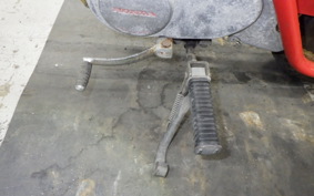 HONDA MONKEY 2024 Z50M