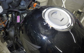 HONDA REBEL 250 2018 MC49