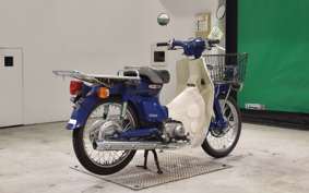 HONDA C50 SUPER CUB 2024 AA01