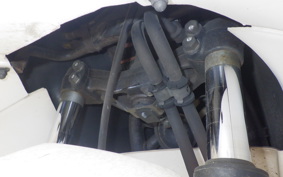 HONDA FORESIGHT EX MF04