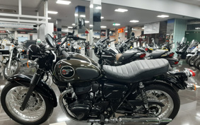 KAWASAKI W800 STREET 2022 EJ800E