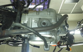 SUZUKI GRASS TRACKER Bigboy 2018 NJ4BA