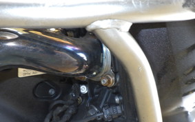 BMW R1300GS 2024