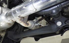 KAWASAKI W800 2020 EJ800B