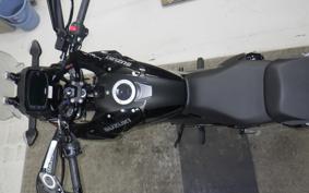 SUZUKI Vｽﾄﾛｰﾑ250SX 2023 EL11L