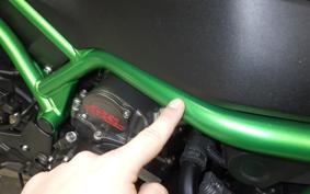 KAWASAKI ZH2 SE 2023