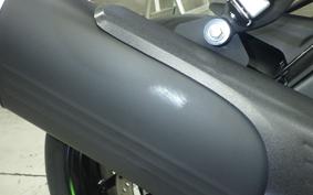 KAWASAKI NINJA ZX-6R A 2026 ZX636J