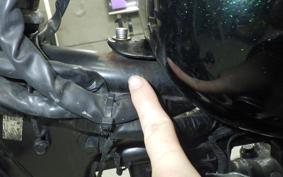 KAWASAKI ESTRELLA 2010 BJ250A
