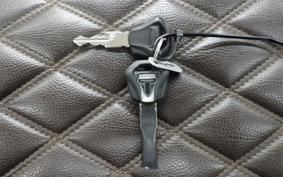 TRIUMPH BONNEVILLE T100 2019