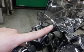 HARLEY FLSTFI1920 2025
