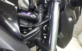 YAMAHA MT-25 2010 RG43J