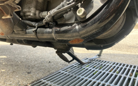 HARLEY XL883L 2009 CR2