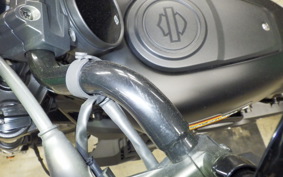 HARLEY RH975S 2024