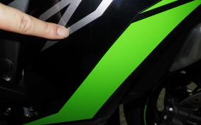 KAWASAKI NINJA ZX-6R A 2026 ZX636J