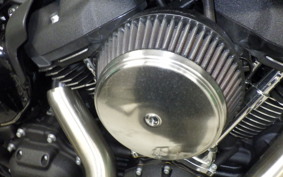 HARLEY FXLRST1920 2024