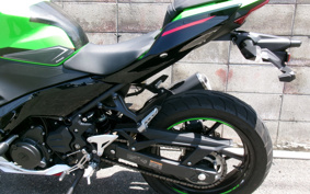 KAWASAKI NINJA 250 KRT ED EX250P