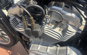 HARLEY XL883 2005 CAM