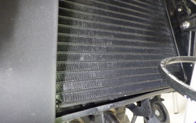 HARLEY X350 2024