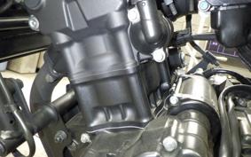 HONDA REBEL 250 S 2002 MC49