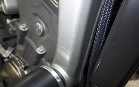 YAMAHA MT-09 2014 RN34J