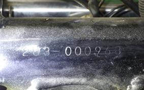 YAMAHA GX250 2023 2U3