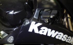 KAWASAKI NINJA 1000 2014