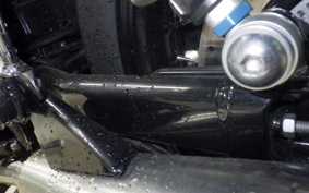 TRIUMPH BONNEVILLE T100 2021