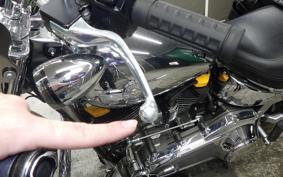HARLEY FLSTFI1920 2025