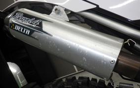 YAMAHA WR250R 2011 DG15J
