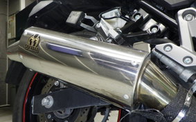 SUZUKI Vｽﾄﾛｰﾑ250A 2001