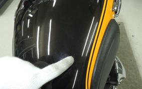 KAWASAKI W800 2016 EJ800A