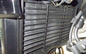 HONDA CB400 SUPER BOLDOR A 2020 NC42