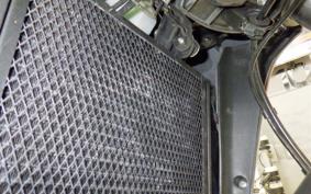 BENELLI TRK251 2024