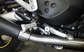 TRIUMPH SPEED TWIN 2019