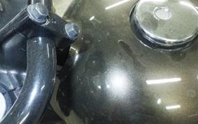 KAWASAKI W800 CAFE 2020 EJ800B