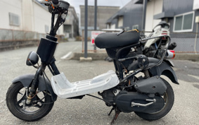 SUZUKI CHOINORISS CELL CZ41A