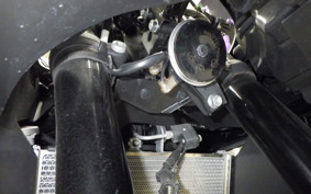 YAMAHA YZF-R3 2021 RH13J