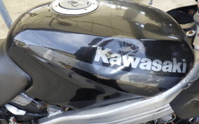 KAWASAKI ZZ-R250 EX250H