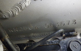 KAWASAKI KR250 KR250A