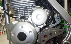 KAWASAKI KLX125 2024 LX125C