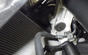 KAWASAKI NINJA 1000 SX 2023 ZXT02K