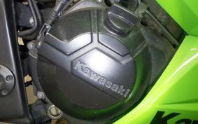 KAWASAKI NINJA 250 ABS 2020 EX250L