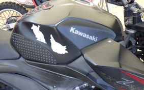 KAWASAKI Z250 Gen.2 2004 EX250P