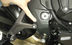 MV AGUSTA BRUTALE 800 DS RR 2019