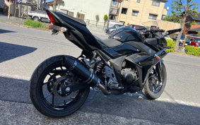 SUZUKI GSX250 R DN11A