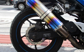 KAWASAKI NINJA 250 EX250P