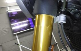 TRIUMPH SPEED 400 2024