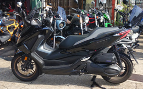 HONDA FORZA 250 MF17